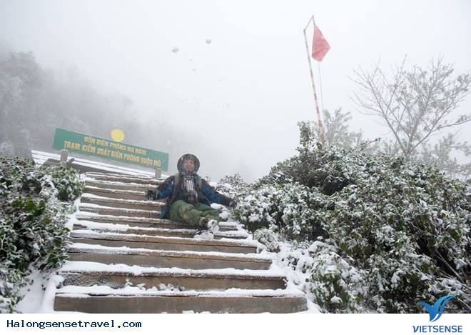 Nghệ An Tuyết Dơi Dày 20cmm - Ảnh 7 Nghệ An Tuyết Dơi Dày 20cmm - Ảnh 7