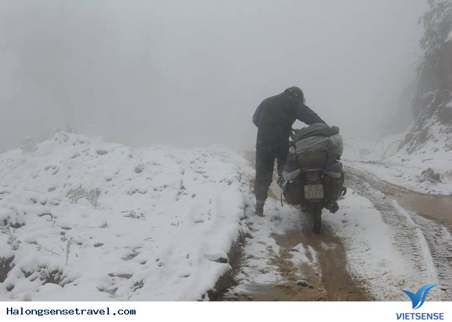 Nghệ An Tuyết Dơi Dày 20cmm - Ảnh 4 Nghệ An Tuyết Dơi Dày 20cmm - Ảnh 4