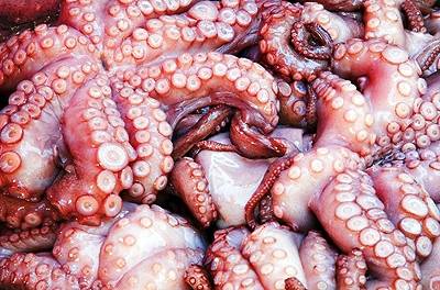 Ngon Và Lạ Hải Sản Tại Vịnh Hạ Long - Ảnh 1