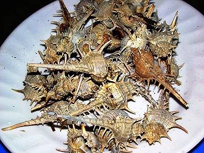 Các món ốc - Ảnh 3