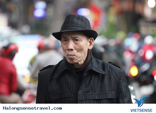 Người Dân Hà Nội Đổ Về Chợ Bưởi Mua Hoa Tết - Ảnh 5 Người Dân Hà Nội Đổ Về Chợ Bưởi Mua Hoa Tết - Ảnh 5