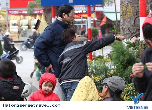 Người Dân Hà Nội Đổ Về Chợ Bưởi Mua Hoa Tết - Ảnh 14 Người Dân Hà Nội Đổ Về Chợ Bưởi Mua Hoa Tết - Ảnh 14