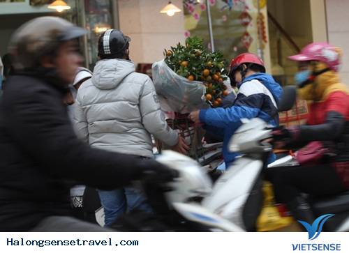 Người Dân Hà Nội Đổ Về Chợ Bưởi Mua Hoa Tết - Ảnh 15 Người Dân Hà Nội Đổ Về Chợ Bưởi Mua Hoa Tết - Ảnh 15
