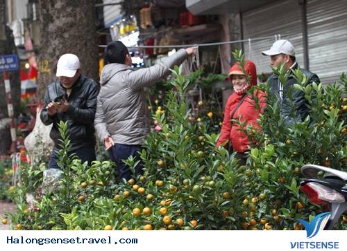 Người Dân Hà Nội Đổ Về Chợ Bưởi Mua Hoa Tết - Ảnh 13 Người Dân Hà Nội Đổ Về Chợ Bưởi Mua Hoa Tết - Ảnh 13