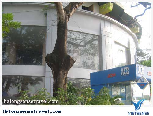 Nhà Hàng Kinh Đô - Ảnh 2