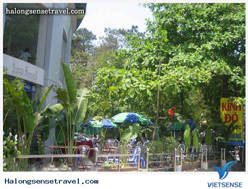 Nhà Hàng Kinh Đô - Ảnh 4