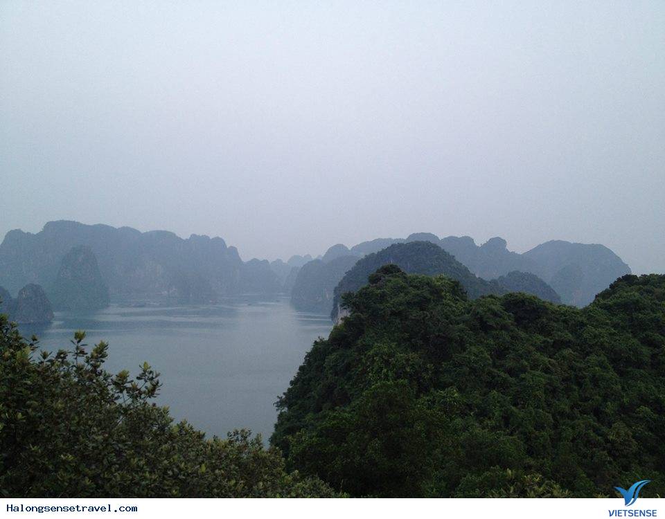 Những Bức  Ảnh Tuyệt Đẹp Của Vịnh Hạ Long - Ảnh 5 Những Bức  Ảnh Tuyệt Đẹp Của Vịnh Hạ Long - Ảnh 5