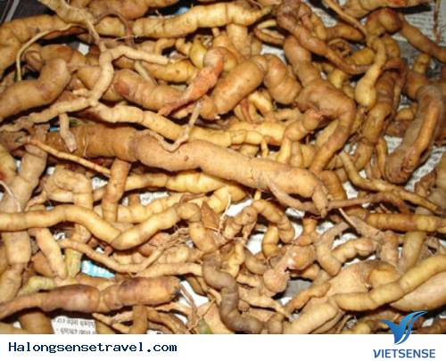 Những Đặc Sản Nổi Tiếng Của Hạ Long - Ảnh 4 Những Đặc Sản Nổi Tiếng Của Hạ Long - Ảnh 4