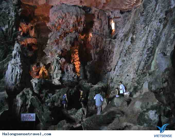 Hang Đầu Gỗ - Ảnh 2