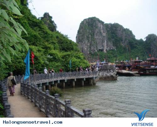 Cảng Cái Rồng - Ảnh 2 Cảng Cái Rồng - Ảnh 2