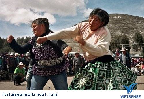 Chửi mắng, đánh nhau Chửi mắng, đánh nhau