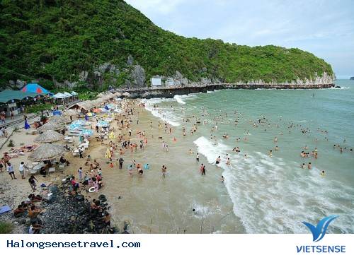 Pháo Đài Thần Công - Ảnh 3 Pháo Đài Thần Công - Ảnh 3