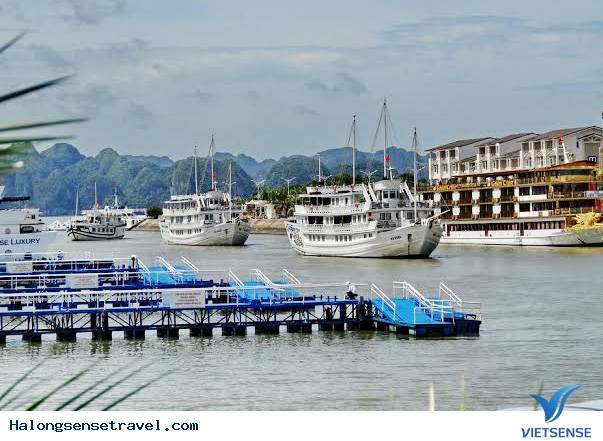 Quảng Ninh cho ngừng hoạt động tàu ở cảng Bãi Cháy - Ảnh 1 Quảng Ninh cho ngừng hoạt động tàu ở cảng Bãi Cháy - Ảnh 1