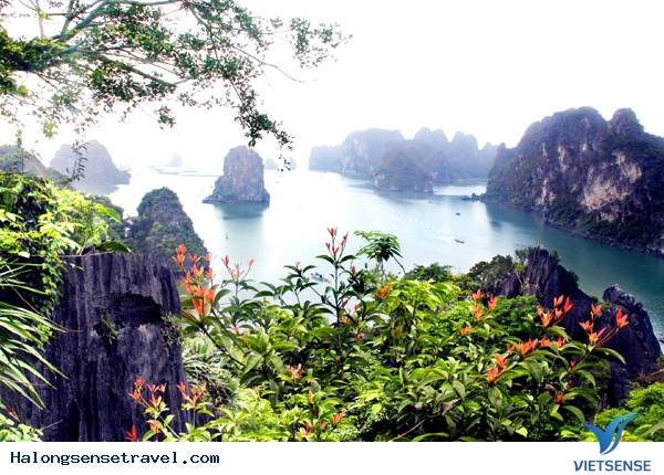 Quảng Ninh - Điểm Đến Hấp Dẫn - Ảnh 2