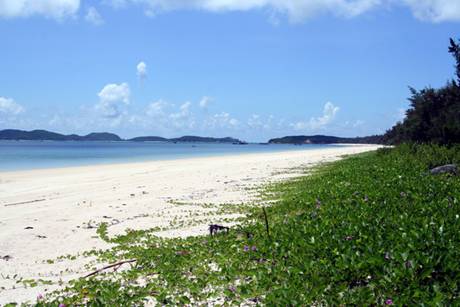 Quảng Ninh - Điểm Đến Hấp Dẫn - Ảnh 6