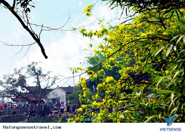 Quảng Ninh - Điểm Đến Hấp Dẫn - Ảnh 4