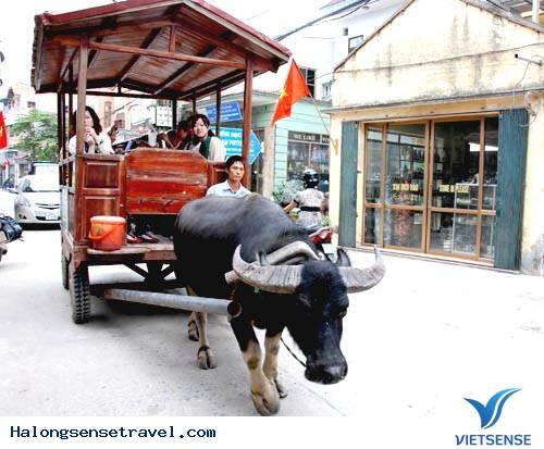 Sắm Đồ Tết Ở Làng Gốm Bát Tràng - Ảnh 3