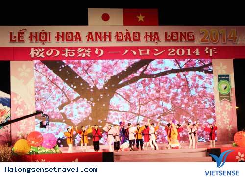Sôi Động Lễ Hội Hoa Anh Đào Hạ Long 2014 - Ảnh 7