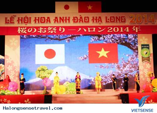 Sôi Động Lễ Hội Hoa Anh Đào Hạ Long 2014 - Ảnh 6