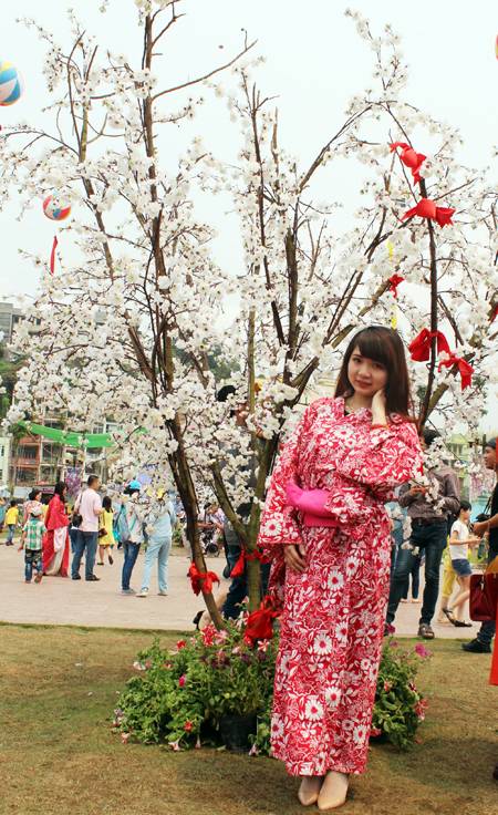 Sôi Động Lễ Hội Hoa Anh Đào Hạ Long 2014 - Ảnh 9