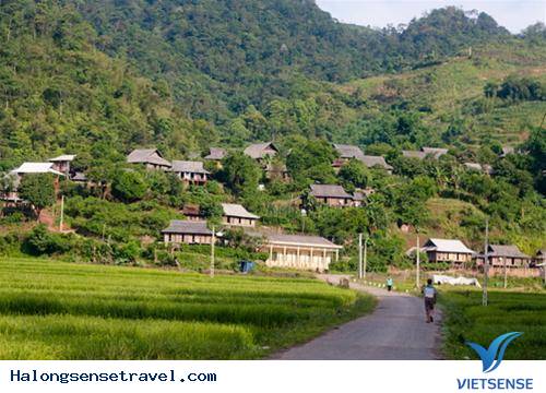 Cuộc sống trăm năm