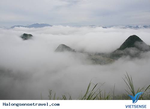 Cõi tiên bồng - Ảnh 2