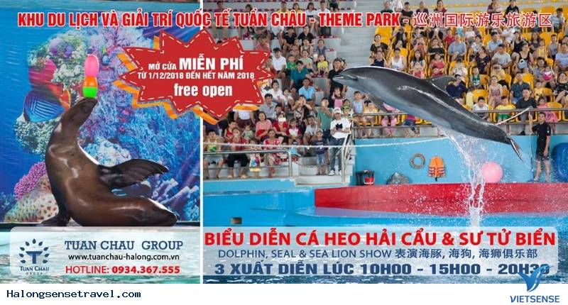 Tuần Châu Park Miễn Phí 100% Vé Vào Cửa Cho khách thăm quan - Ảnh 4 Tuần Châu Park Miễn Phí 100% Vé Vào Cửa Cho khách thăm quan - Ảnh 4