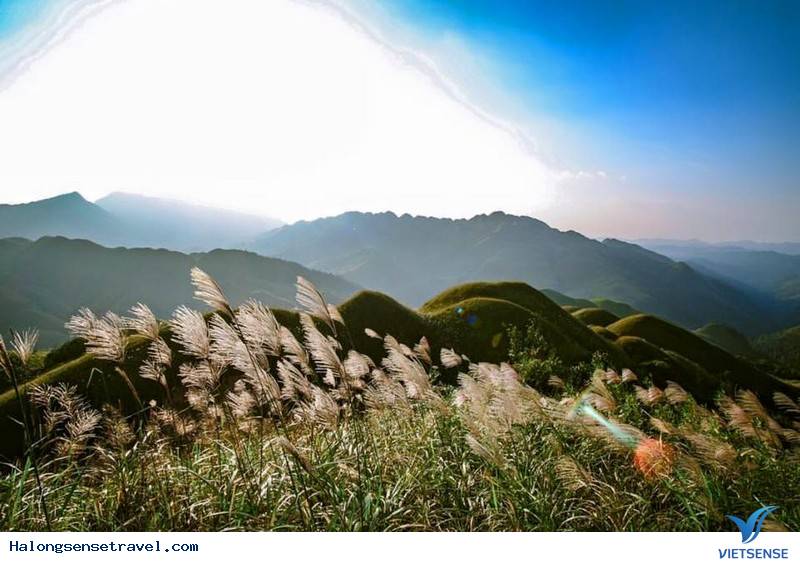Về Hạ Long Đừng Quên Ghé Thăm Bình Liêu Check In Đồi Lau Trắng Rợp Trời - Ảnh 4