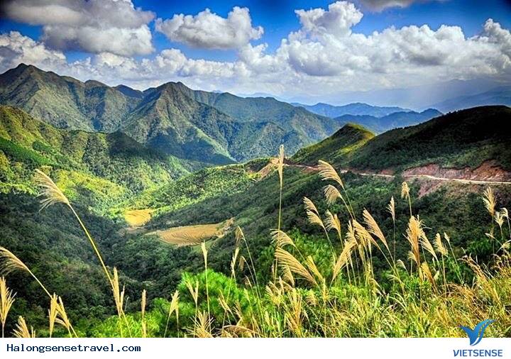 Về Hạ Long Đừng Quên Ghé Thăm Bình Liêu Check In Đồi Lau Trắng Rợp Trời - Ảnh 3