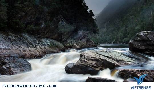 Sông Franklin (Australia) Sông Franklin (Australia)