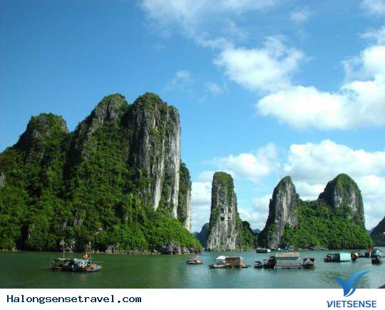 Quần đảo Galapagos (Ecuador) - Ảnh 6 Quần đảo Galapagos (Ecuador) - Ảnh 6