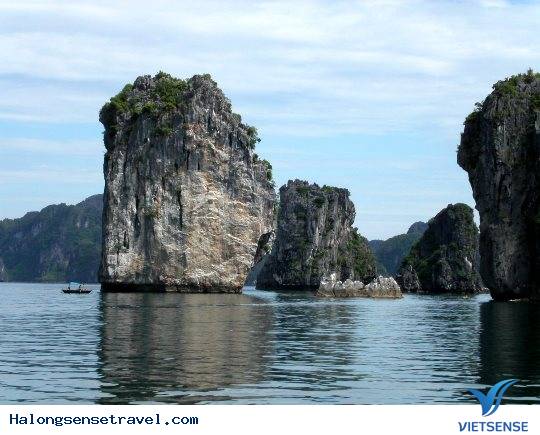 Quần đảo Galapagos (Ecuador) - Ảnh 5 Quần đảo Galapagos (Ecuador) - Ảnh 5