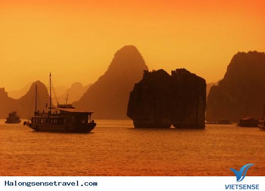 Quần đảo Galapagos (Ecuador) - Ảnh 4 Quần đảo Galapagos (Ecuador) - Ảnh 4