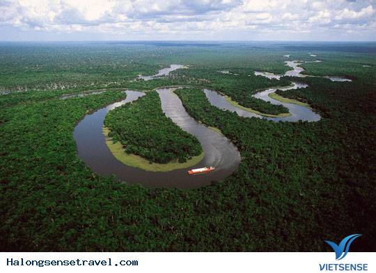 Amazon (Nam Mỹ) Amazon (Nam Mỹ)