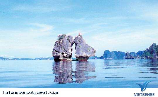 Quần đảo Galapagos (Ecuador) - Ảnh 3 Quần đảo Galapagos (Ecuador) - Ảnh 3