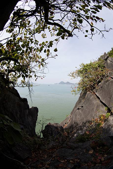 Vịnh Hạ Long Mùa Lá Đỏ - Ảnh 8 Vịnh Hạ Long Mùa Lá Đỏ - Ảnh 8