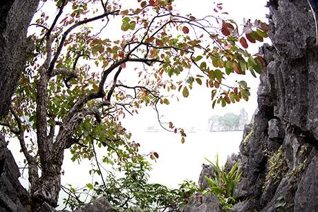 Vịnh Hạ Long Mùa Lá Đỏ - Ảnh 6 Vịnh Hạ Long Mùa Lá Đỏ - Ảnh 6