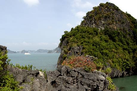 Vịnh Hạ Long Mùa Lá Đỏ - Ảnh 2 Vịnh Hạ Long Mùa Lá Đỏ - Ảnh 2