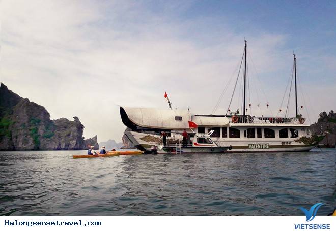 Vợ Chồng Angelina Jolie Và Brad Pitt Đến Thăm Vịnh Hạ Long - Ảnh 6